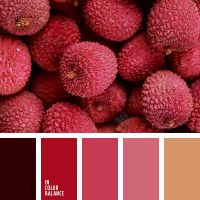 cvetovaya-palitra-2025