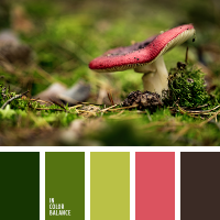 cvetovaya-palitra-2291